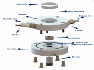 coating evaluation cell painting test evaluation (copy)