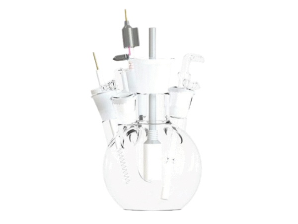 electrolytic glass cell (5 port)